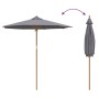 Parasol de jardín Gris oscuro 240 x 240 x 260 cm Bambú