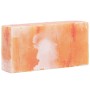 Piedras de Sal 10 pcs Rosa 20 x 5 x 10 cm Sal Rock