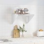 Estante de pared acero inoxidable plateado 50x45x31 cm