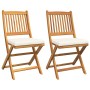 Silla Plegable con cojín 2 pcs 49 x 57.5 x 92cm