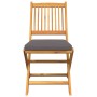 Silla Plegable con cojín 2 pcs Gris 49 x 57.5 x 92cm