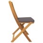 Silla Plegable con cojín 2 pcs Gris 49 x 57.5 x 92cm