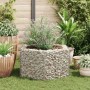 Arriate hexagonal de gaviones 100x90x50 cm en Maceteros y jardineras | Comprar online en Foro24