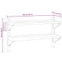 Estante de pared acero inoxidable plateado 100x23,5x60 cm