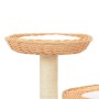 Rascador para gatos con poste de sisal madera natural de sauce