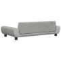 Cama para perros de terciopelo gris claro 100x54x33 cm