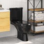 Inodoro WC con cisterna negro