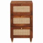 Vitrina Marrón 40 x 33.5 x 75 cm Caña y madera sólida de mango