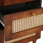 Vitrina Marrón 40 x 33.5 x 75 cm Caña y madera sólida de mango