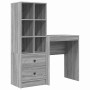 Escritorio con almacenamiento con cajón 2 pcs Gris sonoma