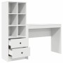 Escritorio con almacenamiento 2 pcs Blanco 100 x 40 x 76 cm