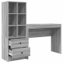 Escritorio con almacenamiento con cajón 2 pcs Gris sonoma