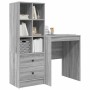 Escritorio con almacenamiento 2 pcs Gris sonoma 60 x 50 x 76 cm