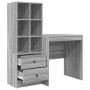 Escritorio con almacenamiento 2 pcs Gris sonoma 70 x 50 x 76 cm