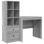 Escritorio con almacenamiento 2 pcs Gris sonoma 80 x 50 x 76 cm