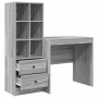 Escritorio con almacenamiento 2 pcs Gris sonoma 80 x 50 x 76 cm