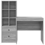 Escritorio con almacenamiento 2 pcs Gris sonoma 80 x 50 x 76 cm
