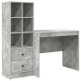 Escritorio con almacenamiento con cajón 2 pcs Gris Concreto