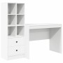 Escritorio con almacenamiento 2 pcs Blanco 100 x 50 x 76 cm