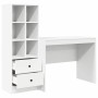 Escritorio con almacenamiento 2 pcs Blanco 100 x 50 x 76 cm