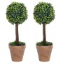 Plantas de boj artificial 2 uds forma bola maceta verde 33 cm en Flora artificial | Comprar online en Foro24