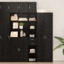 Gabinete de Almacenamiento Slim Roble negro 30 x 42.5 x 225 cm