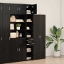 Gabinete de Almacenamiento Slim Roble negro 30 x 42.5 x 225 cm