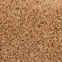 Felpudos para escaleras 20 unidades 65x21x4 cm Beige