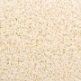 Alfombrillas para escaleras 20 unidades 65x21x4 cm Crema