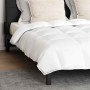Juego de Edredón con almohada 3 pcs Algodón