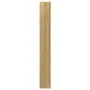 Espejo con joyero de pared 30x8,5x67 cm de vidaXL, Espejos - Ref: Foro24-353210, Precio: 69,62 €, Descuento: %