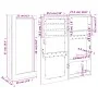 Schwarzer Wandspiegel mit Schmuckschatulle 30x8,5x67 cm von vidaXL, Spiegel - Ref: Foro24-353209, Preis: 67,22 €, Rabatt: %