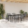 Conjunto de Comedor de Jardín 7 pcs Antracita Acero