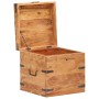 Stamm aus massivem Akazienholz, 40x40x40 cm von vidaXL, Aufbewahrungskisten - Ref: Foro24-289639, Preis: 152,90 €, Rabatt: %