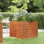 Blumenbeet aus rostigem Cortenstahl, 100 x 100 x 77 cm von vidaXL, Töpfe und Pflanzgefäße - Ref: Foro24-151948, Preis: 78,50 ...