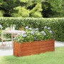 Arriate oxidado de acero corten 160x40x45 cm by vidaXL, Pots and planters - Ref: Foro24-151952, Price: 58,72 €, Discount: %