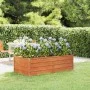 Blumenbeet aus rostigem Cortenstahl, 160 x 80 x 45 cm von vidaXL, Töpfe und Pflanzgefäße - Ref: Foro24-151958, Preis: 80,44 €...