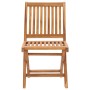 Conjunto de comedor de jardín 7 piezas madera maciza de teca