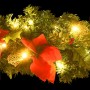 Weihnachtsbogen mit grünen LED-Lichtern 90 cm PVC von vidaXL, Weihnachtsbeleuchtung - Ref: Foro24-320980, Preis: 29,49 €, Rab...