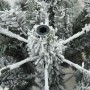 Árbol de Navidad artificial con 300 LED Verde 210 cm PE y PVC