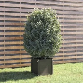 Solid gray pine wood planter 40x40x40 cm by vidaXL, Pots and planters - Ref: Foro24-810538, Price: 47,34 €, Discount: %