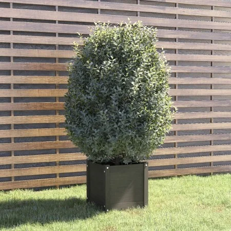 Solid gray pine wood planter 40x40x40 cm by vidaXL, Pots and planters - Ref: Foro24-810538, Price: 47,34 €, Discount: %