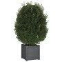 Pflanzgefäß aus massivem Kiefernholz grau 40x40x40 cm von vidaXL, Töpfe und Pflanzgefäße - Ref: Foro24-810538, Preis: 48,00 €...