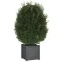 Solid gray pine wood planter 40x40x40 cm by vidaXL, Pots and planters - Ref: Foro24-810538, Price: 47,34 €, Discount: %
