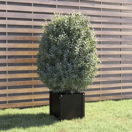 Jardinera de madera maciza de pino negro 40x40x40 cm de vidaXL, Maceteros y jardineras - Ref: Foro24-810542, Precio: 40,81 €,...