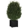 Jardinera de madera maciza de pino negro 40x40x40 cm de vidaXL, Maceteros y jardineras - Ref: Foro24-810542, Precio: 40,81 €