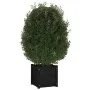 Jardinera de madera maciza de pino negro 40x40x40 cm de vidaXL, Maceteros y jardineras - Ref: Foro24-810542, Precio: 40,81 €,...