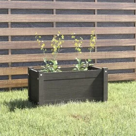 Solid gray pine wood planter 60x31x31 cm by vidaXL, Pots and planters - Ref: Foro24-810708, Price: 45,65 €, Discount: %