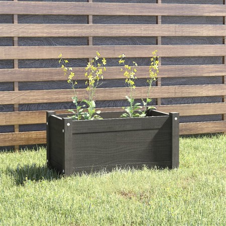Solid gray pine wood planter 60x31x31 cm by vidaXL, Pots and planters - Ref: Foro24-810708, Price: 45,16 €, Discount: %