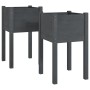 Planters 2 units solid gray pine wood 40x40x70 cm by vidaXL, Pots and planters - Ref: Foro24-810794, Price: 51,98 €, Discount: %